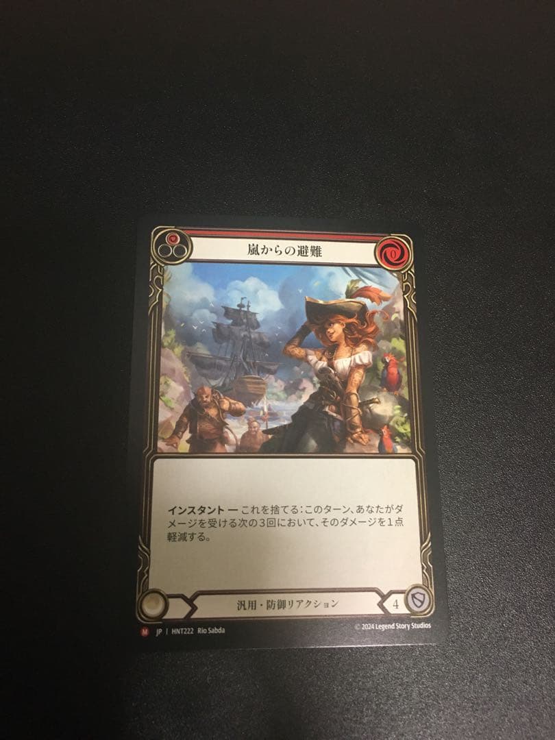 flesh&blood 嵐からの避難　日版NF Fab