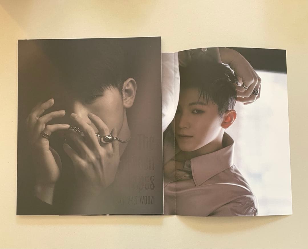 SEVENTEEN ウジ The Thirteen Tapes TTT