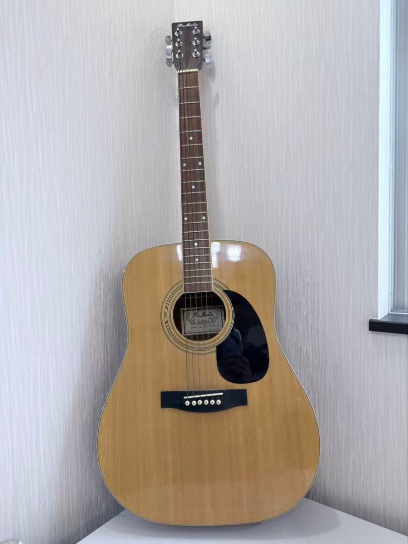 Pro Martin 180-W アコースティックギター
