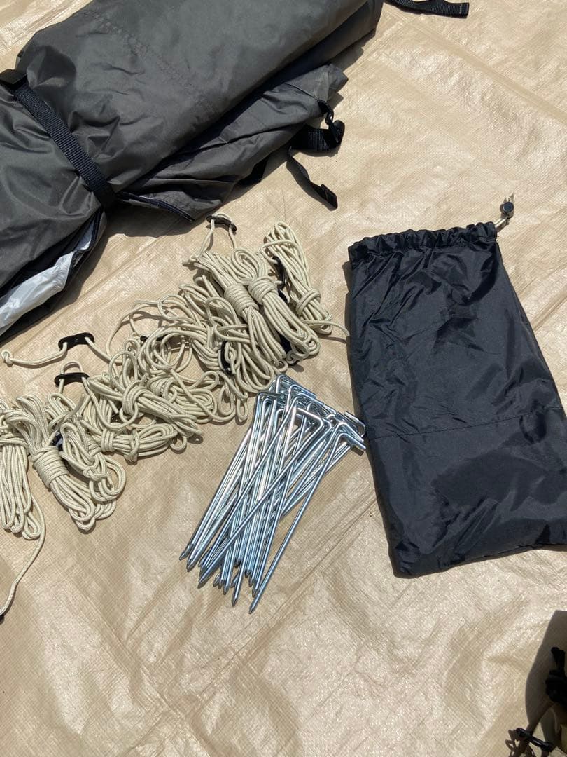 SABBATICAL サバティカル アルニカ