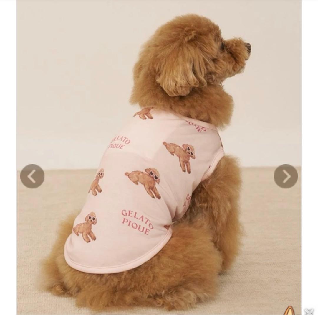 ジェラートピケドッグウェアセット