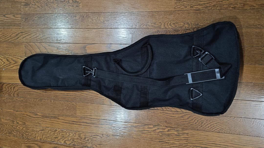 Flavor Electric Guitar エレキギター フレイバー