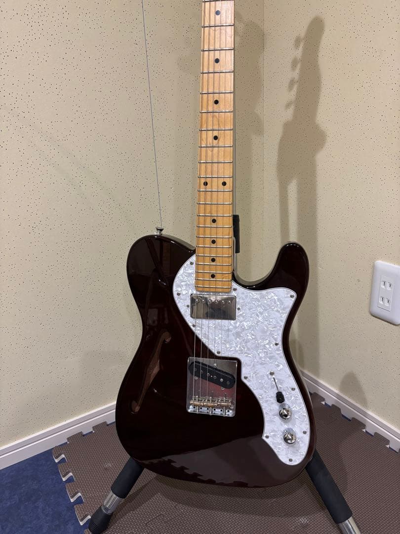 FGNフジゲンテレキャスターシンライン