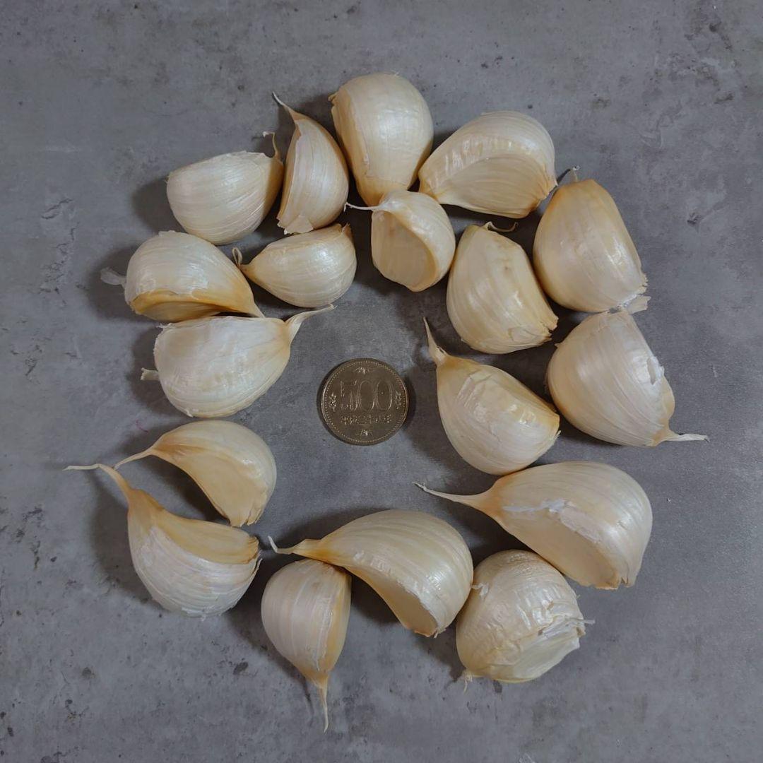 青森県産 ホワイト六片 ニンニク 4kg‼R7年産