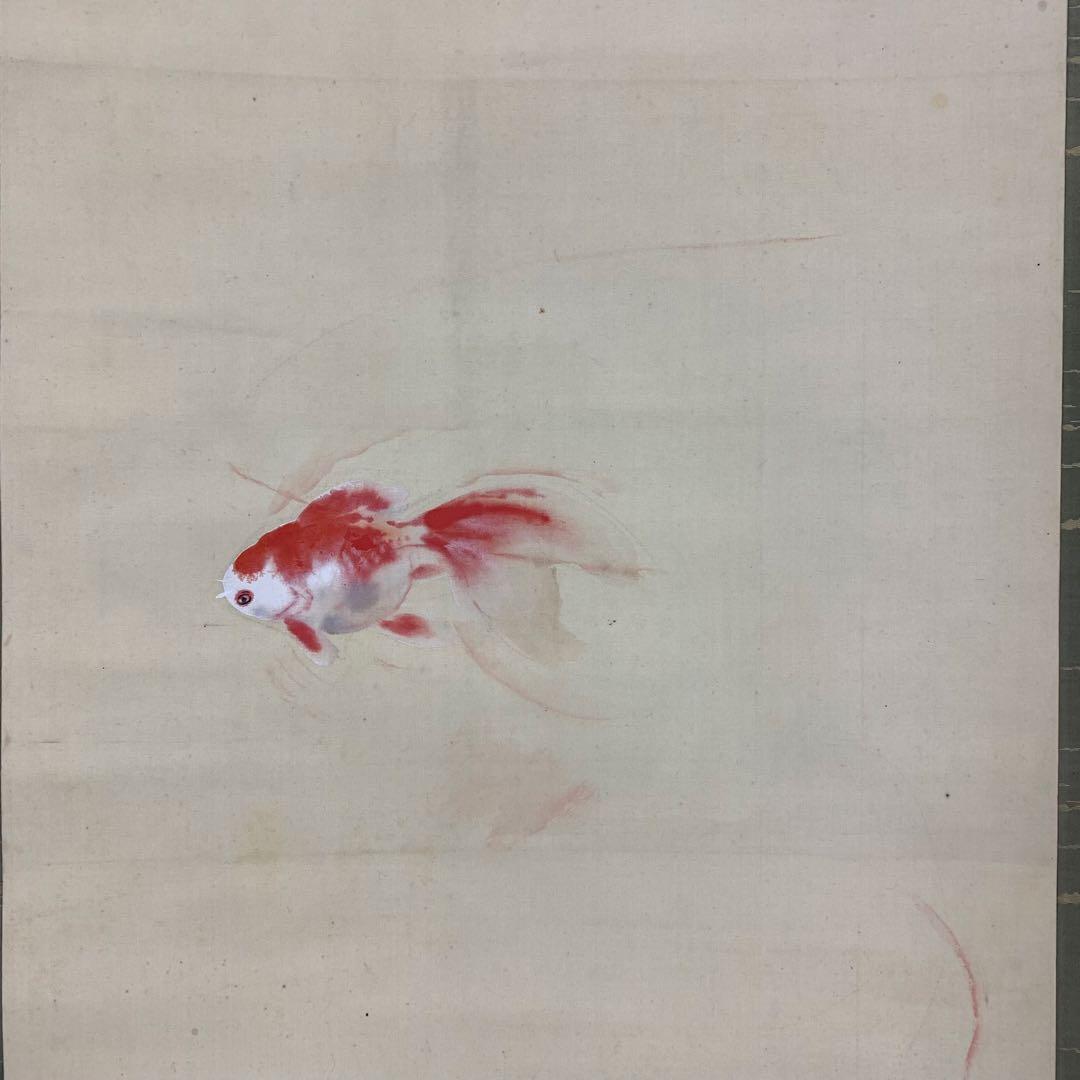 掛軸 北上聖牛 金魚 共箱 6-15