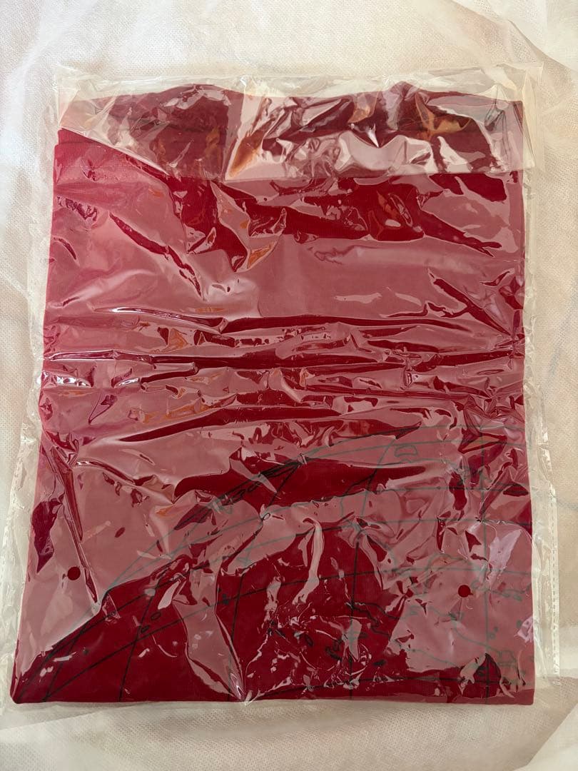 嵐 AROUND ASIA トラベル キーホルダー ペンライト Tシャツ バッグ