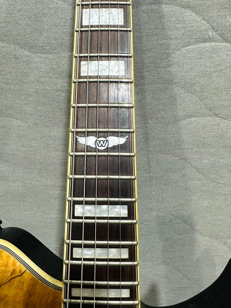 ワッシュバーンUSA washburn WILDXSPLTD 並行輸入品