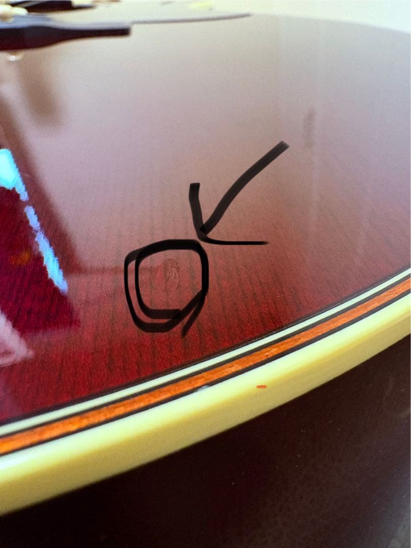 ギター Takamine DMP50S WR