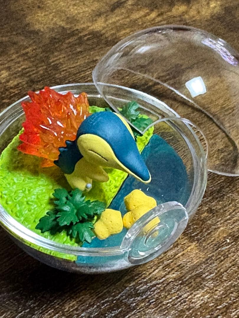 ポケモン テラリウムコレクション ⚠️プロフ必読