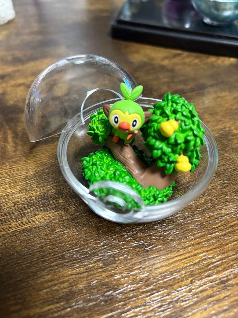 ポケモン テラリウムコレクション ⚠️プロフ必読