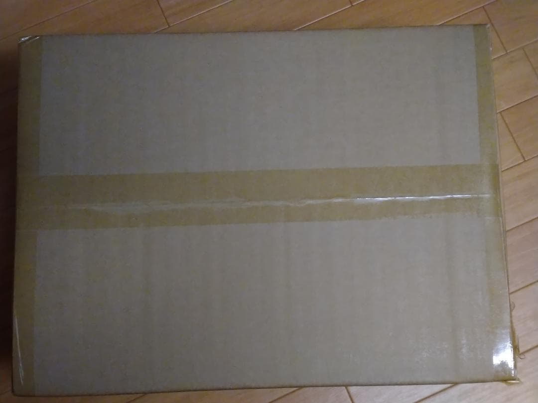 東宝30cmシリーズ ゴジラ(2023)少年リック限定版　ゴジラ-1.0　新品