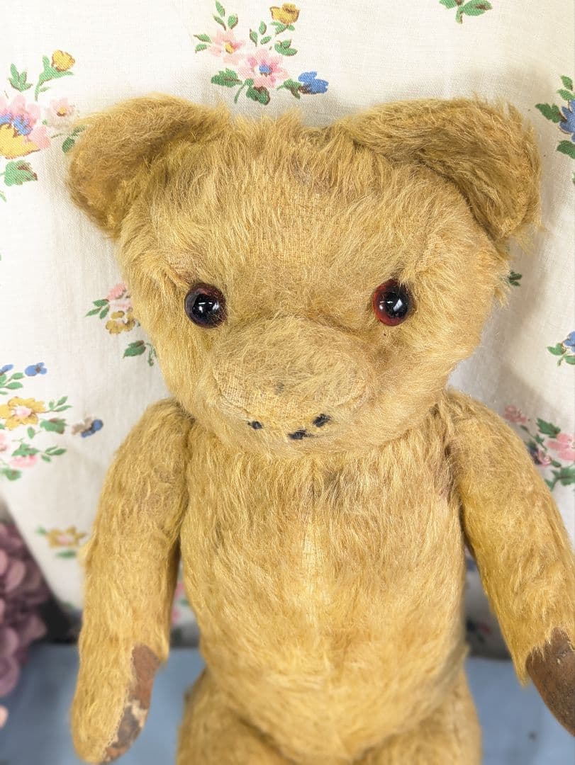 イギリス アンティーク テディベア アンティークベア 40cm