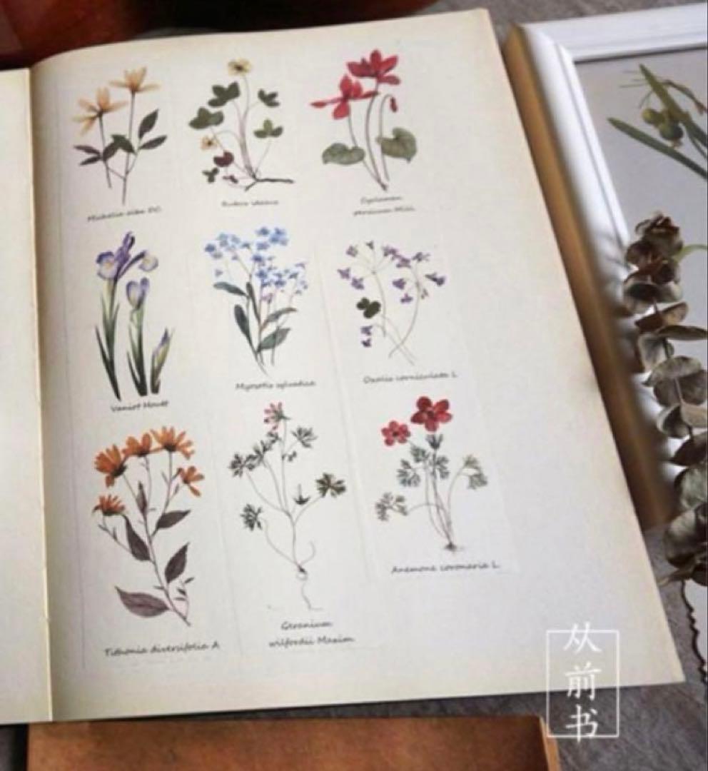 テープ・マスキングテープ tae