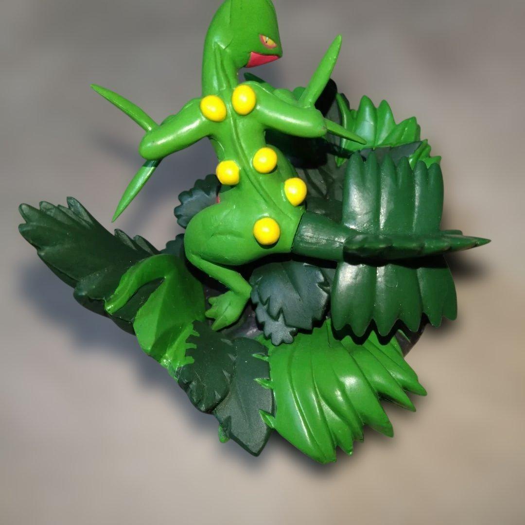 ポケモン　バトルコロシアム　ジュカイン