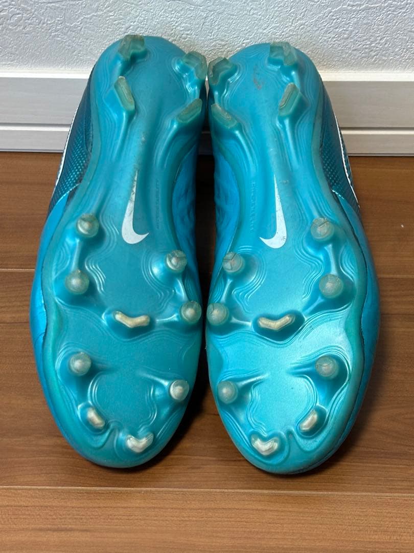 ティエンポレジェンド8 FG