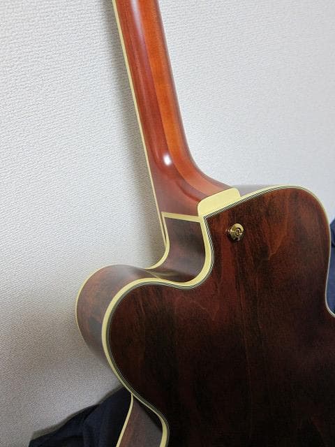 cotrane様　Ibanez PM3C Natural Amber