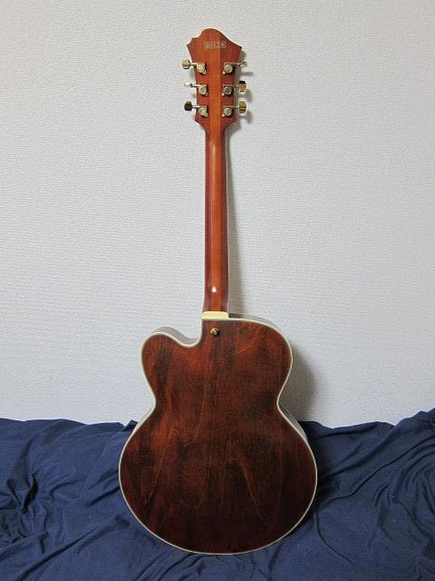 cotrane様　Ibanez PM3C Natural Amber