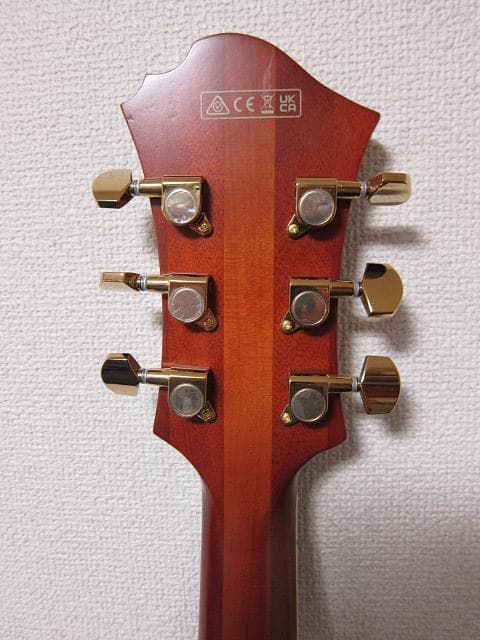cotrane様　Ibanez PM3C Natural Amber
