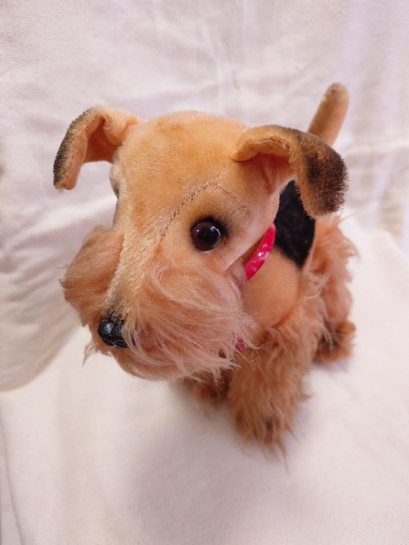 【希少品！】ふしぎ犬トントン★エアデールテリアぬいぐるみ