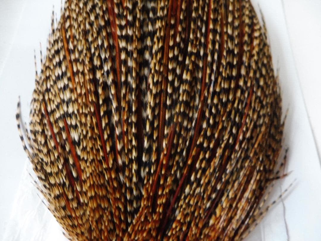 WHITING PRO GRADE コックハックルケープ 未使用品