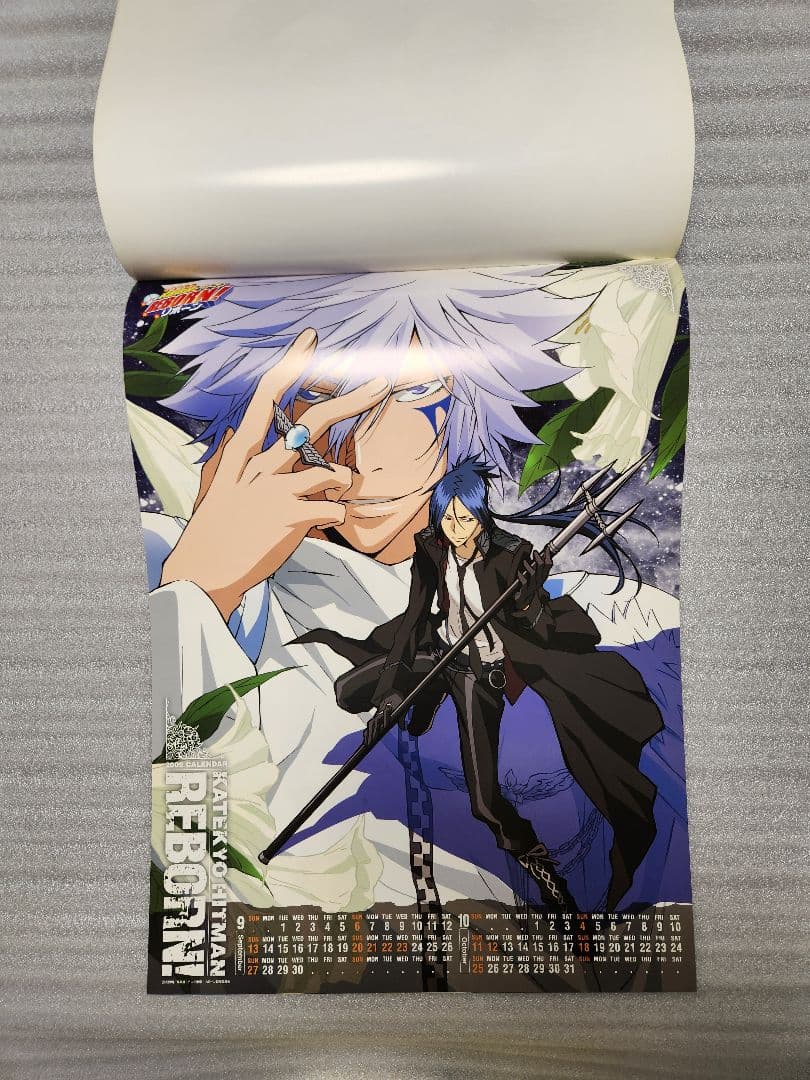 【希少品】家庭教師ヒットマンREBORN 2009年カレンダー