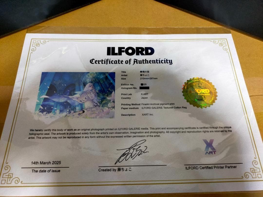 X-ART 藤ちょこ 直筆サイン入りBook 奏鳴の宙 光る美少女展5