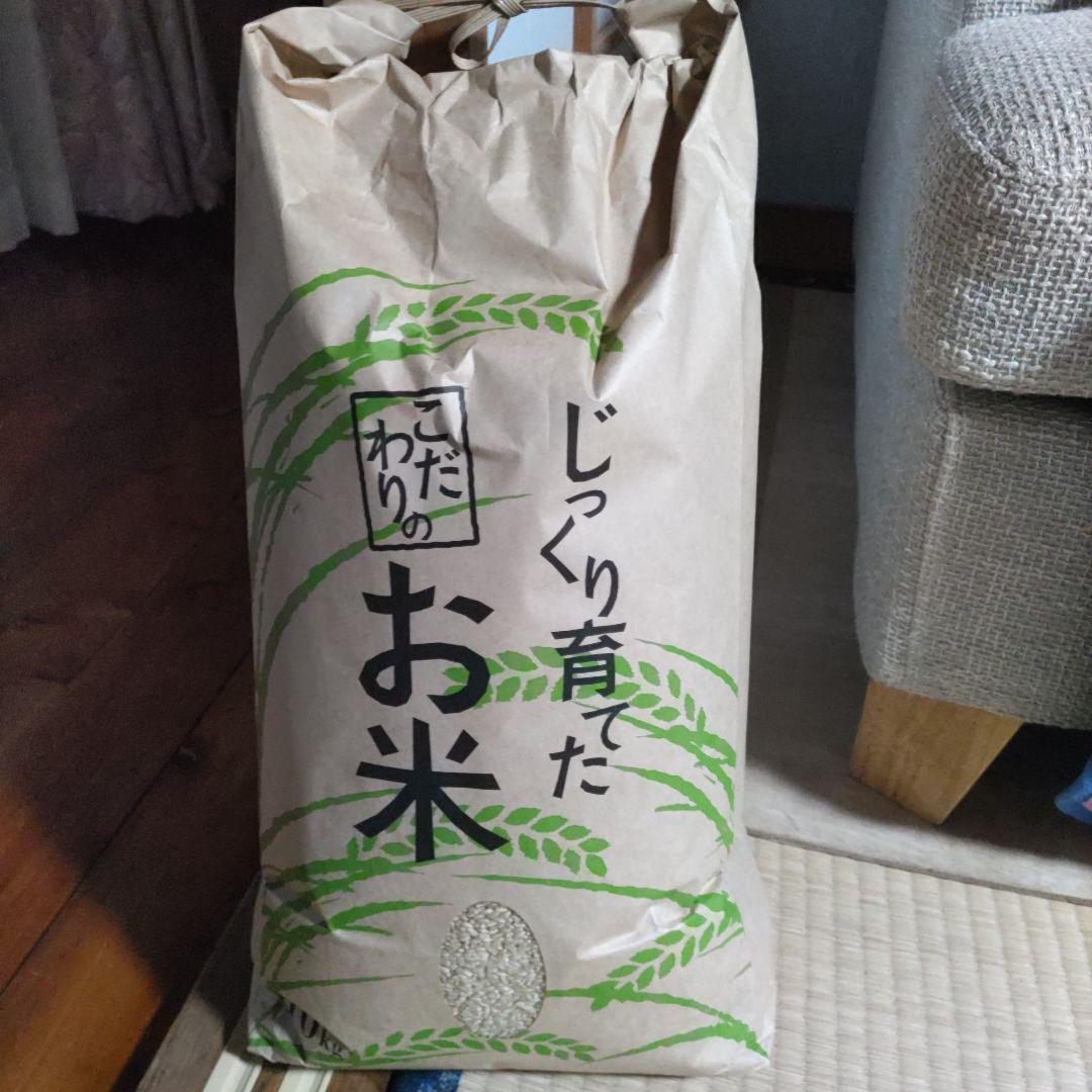 令和7年 減農薬【岐阜県産コシヒカリ】【新米10kg】