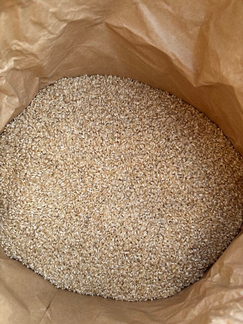 コシヒカリ 30kg 7年産 玄米