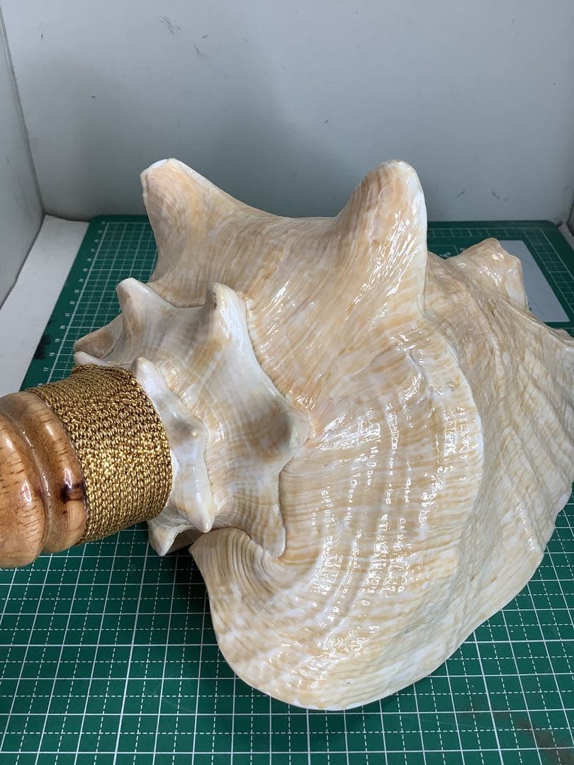 ヤフメリ41・ピンクガイ・法螺貝・山伏・修験者・戦国武将・金峯山・羽黒山・熊除笛