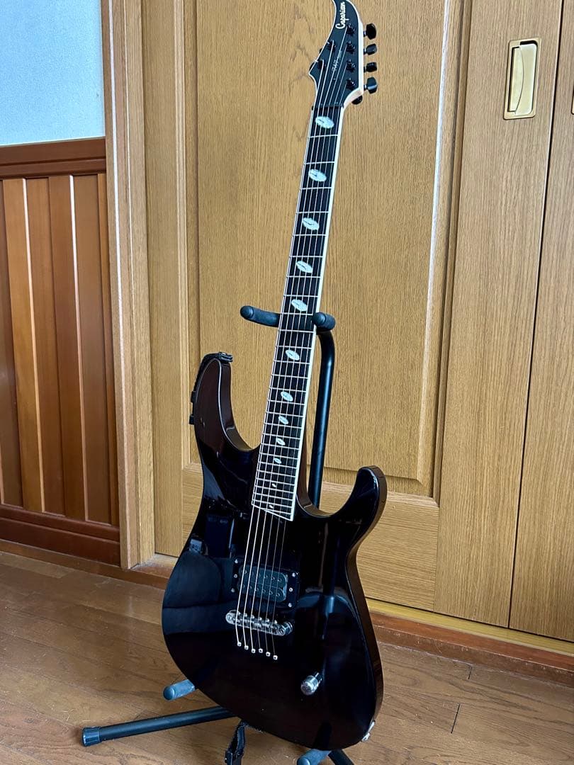 Caparison TAT FX 美品 BW搭載 純正ケース付