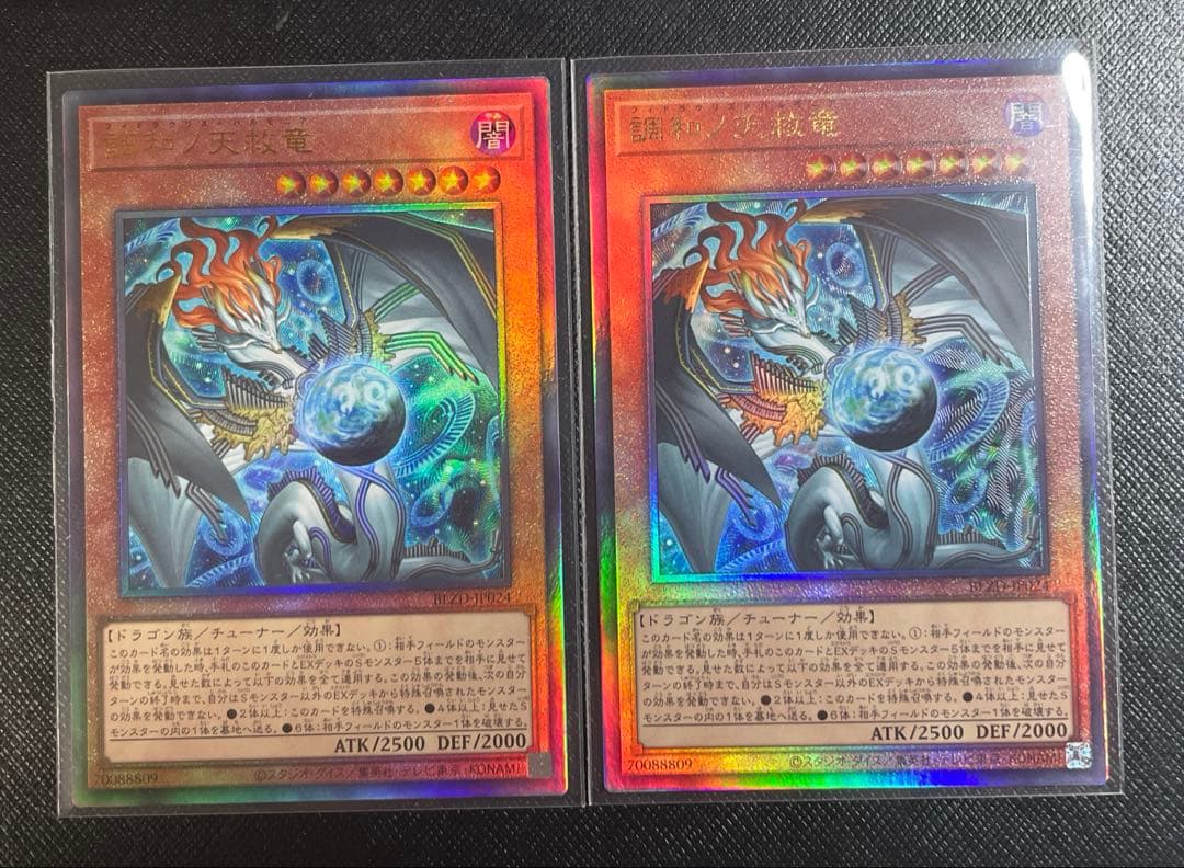 遊戯王　調和ノ天救竜　レリーフ　２枚