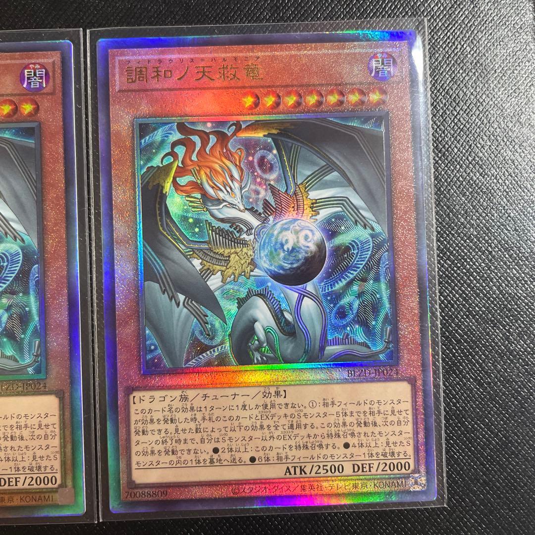 遊戯王　調和ノ天救竜　レリーフ　２枚