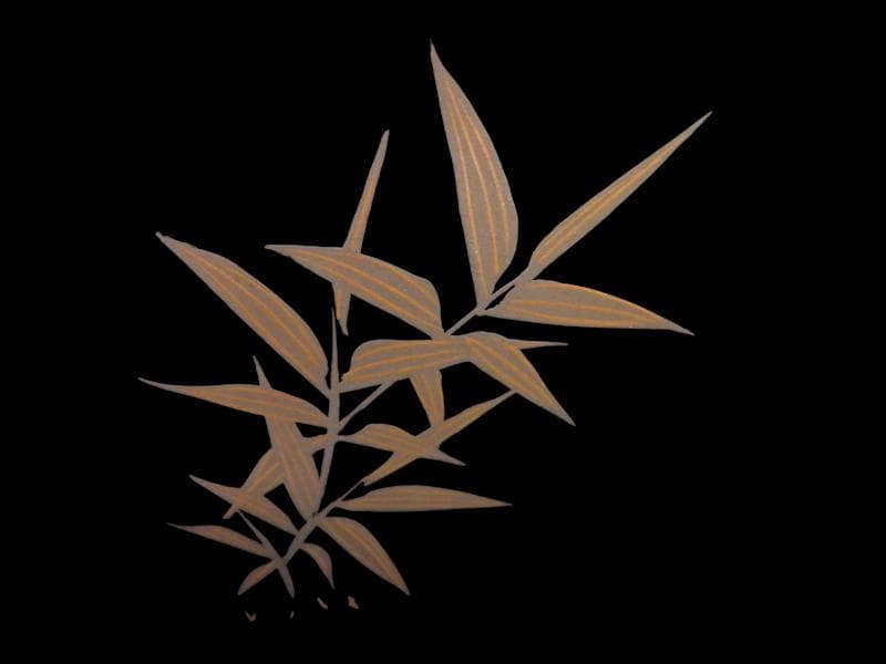 京塗師　岡田表寛造　金蒔絵　竹笹の図　火鉢　共箱　AS-DAx