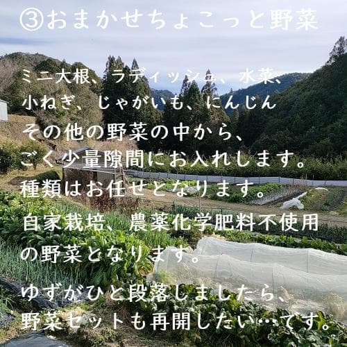 柚のや★送料込★高知県産ゆず酢900ml 6本 熟しぼり★農薬不使用★柚子酢