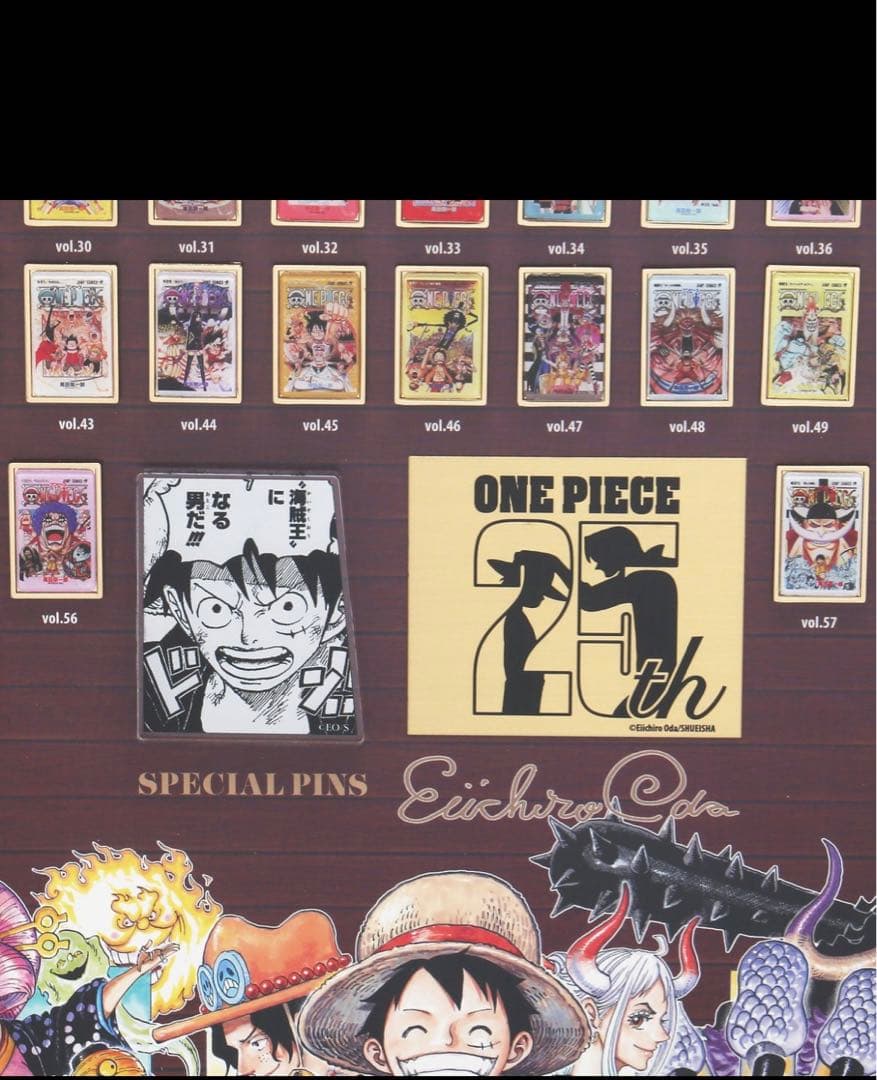 ONE PIECE ワンピース 連載25周年記念 額装ピンズセット