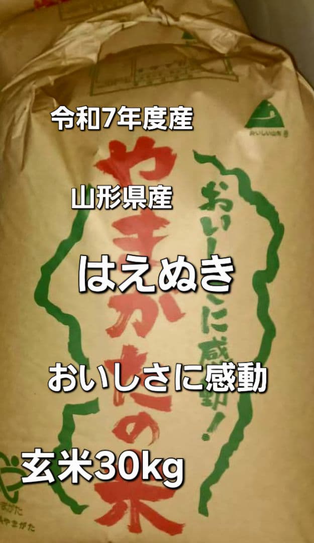 はえぬき 玄米 30kg 山形県産　特A米　全国送料無料