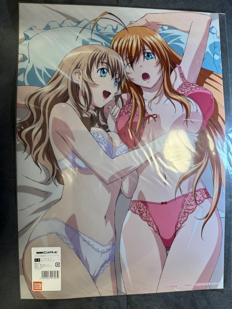 クリアポスター　DMMスクラッチ　一騎当千シリーズ　C賞　4枚セット