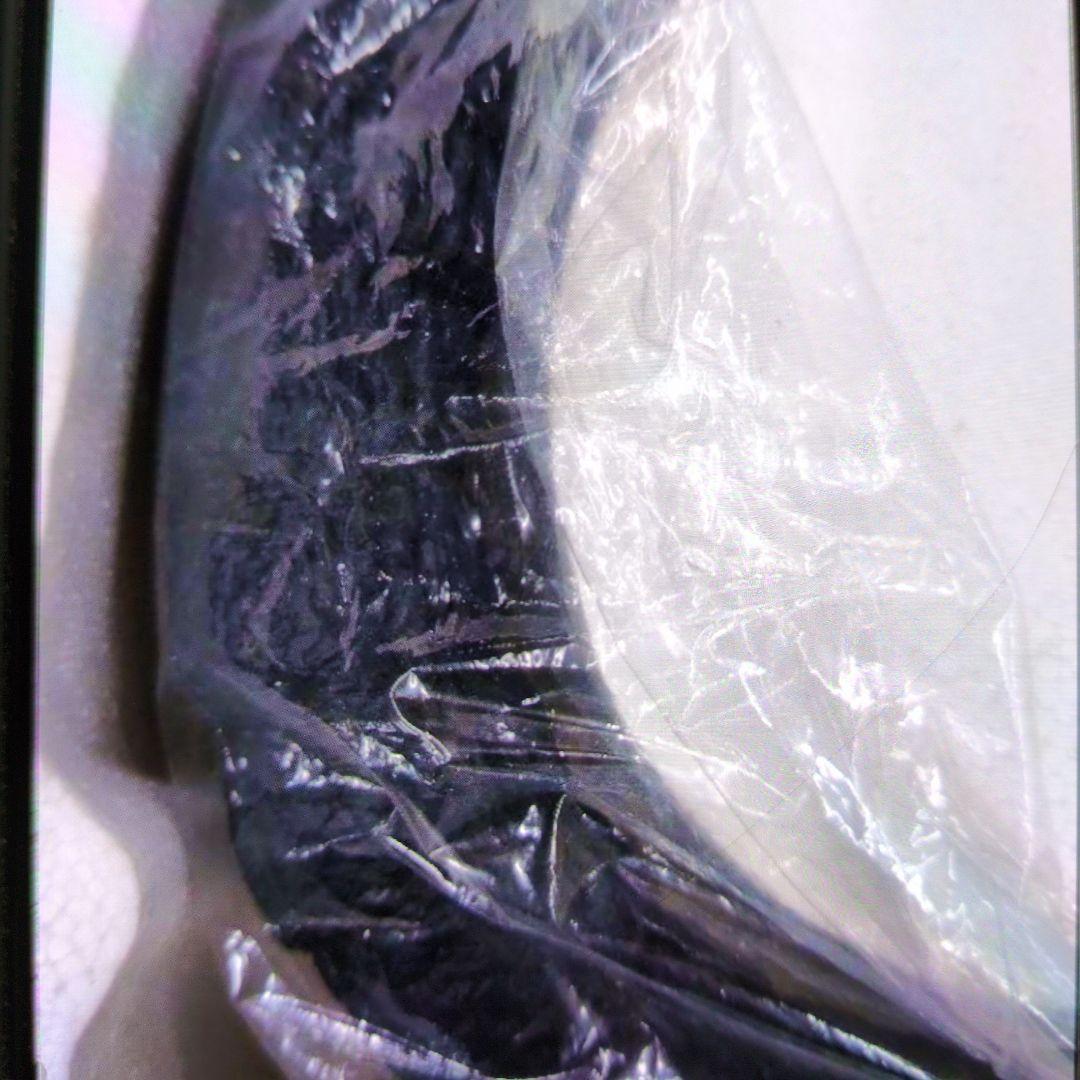 アートワークスモンスターズ。ゴジラ1954。