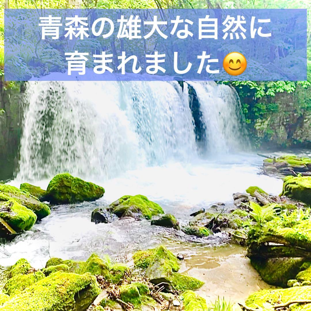 青森県産　乾燥にんにく　中大サイズ　福地ホワイト六片黒にんにく　おすすめ