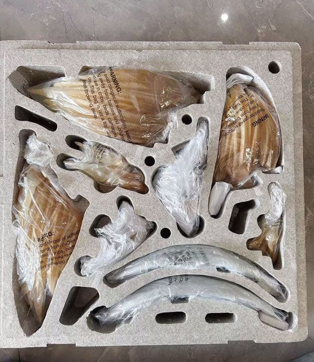 BLEACH 黒衣少年図 ウルキオラ1/4ガレージキット ガレキ スタチュー③①