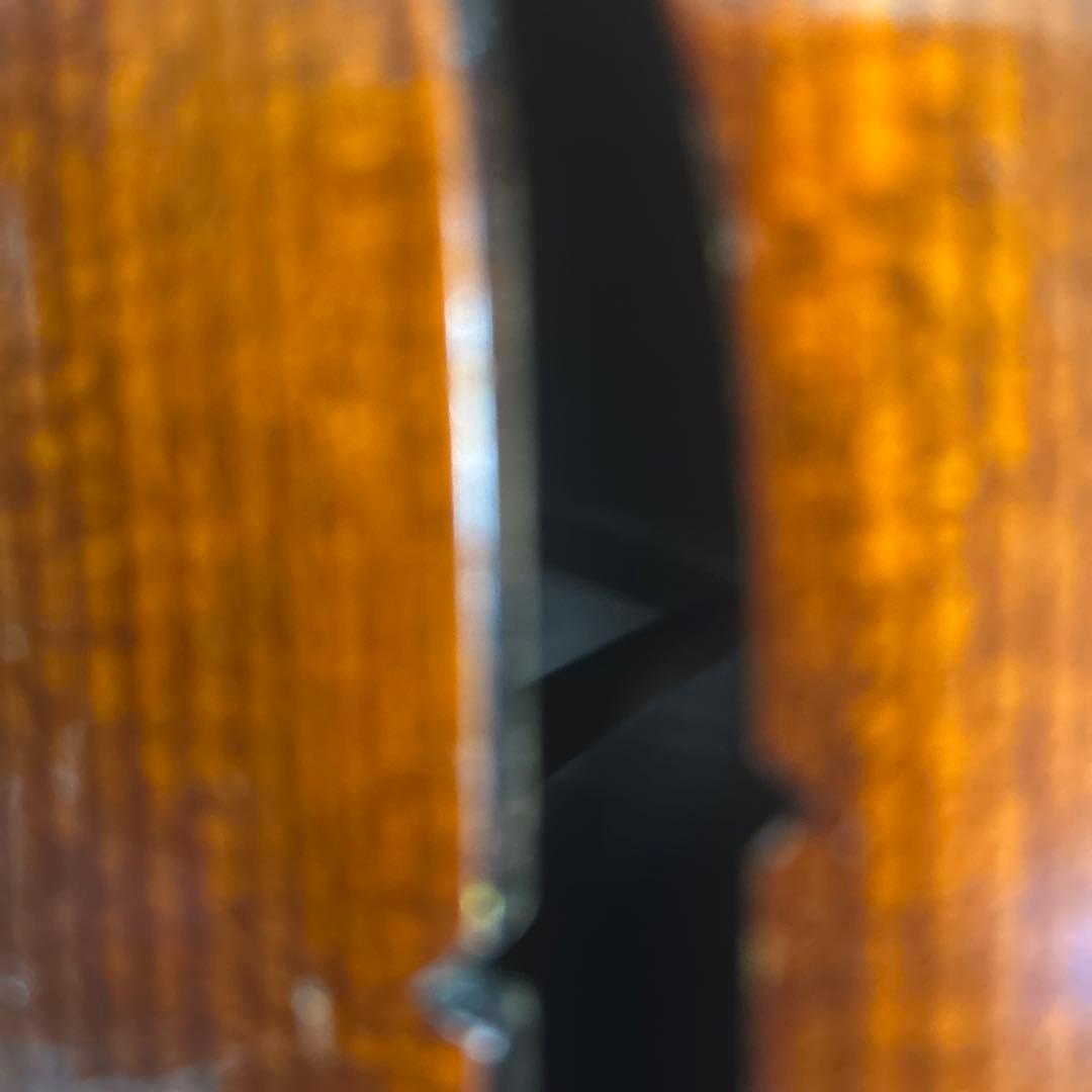 チェロ　ソフトケース付き