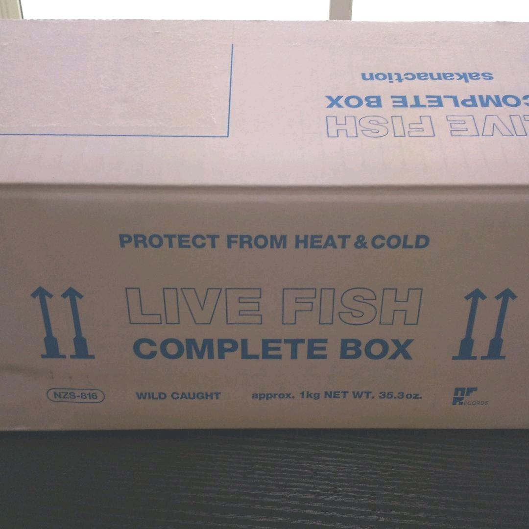 LIVE FISH 　サカナクション　daiyama20さま