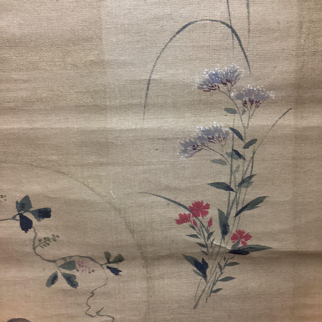 狩野養信筆　尾形袍祝花鳥画写　絹本掛軸一幅　肉筆画　晴川法眼自題箱極模写NO43