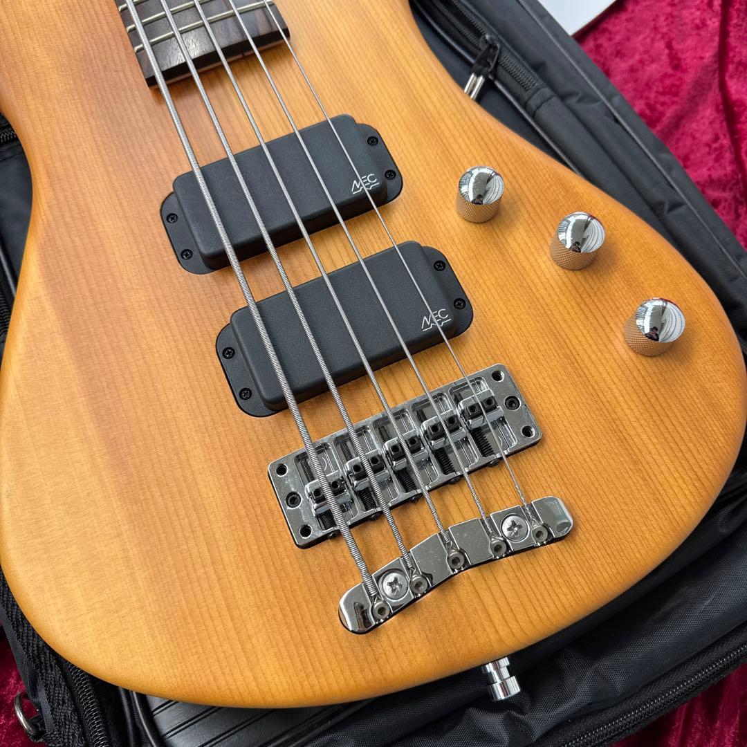 美品 メンテ済 Warwick Streamer Standard 5st