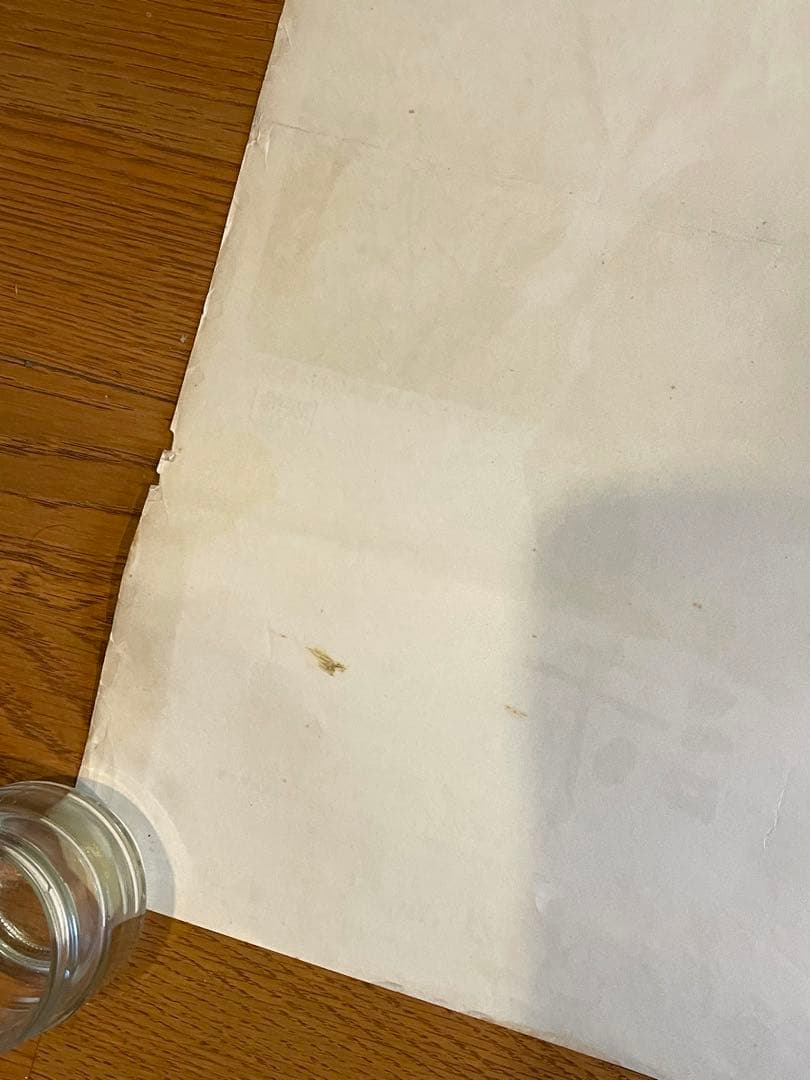 超希少【日本版劇場使用B2ポスター】ある愛の詩 Love Story