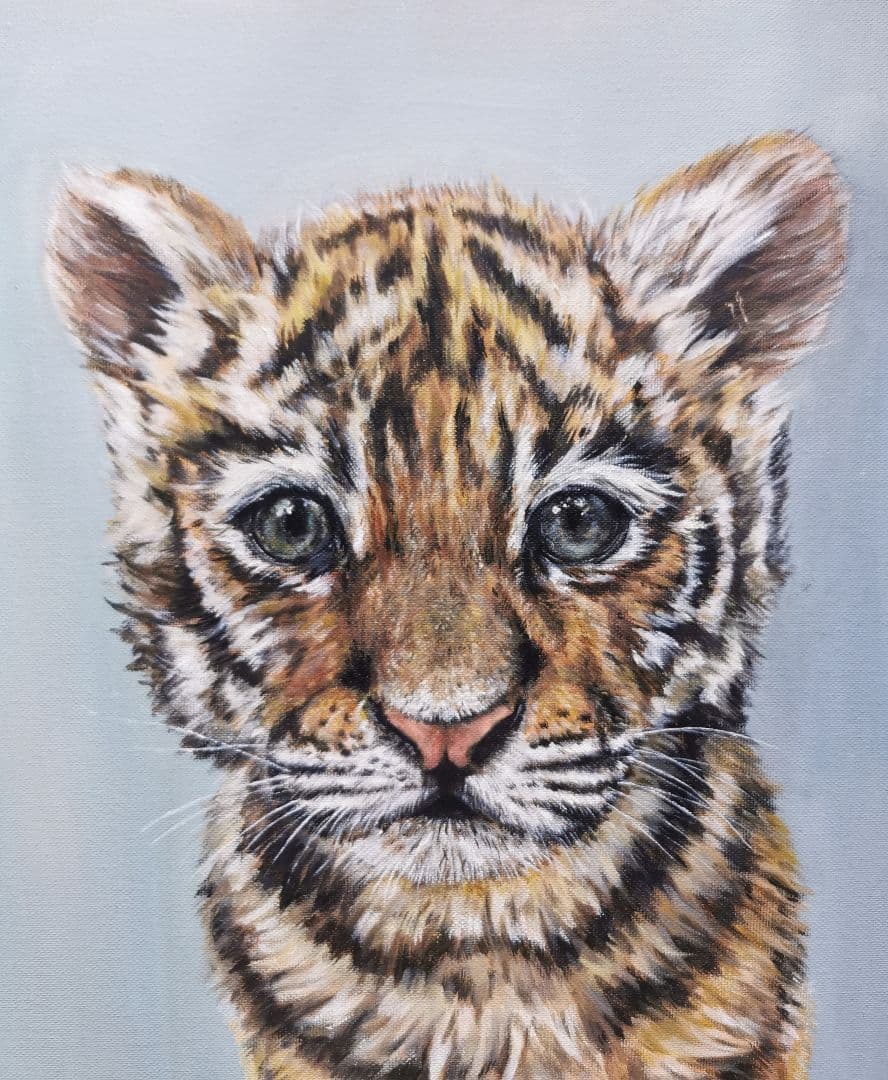 油絵　F8　虎　トラ