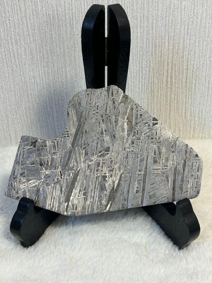 天然アルタイ鉄隕石、702g、完璧にエッチングされたフュージョンクラスト