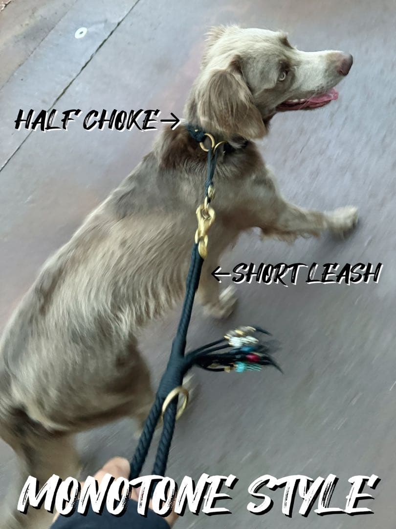 オーダー出品　ハーフチョーク　リード　各種　パラコード