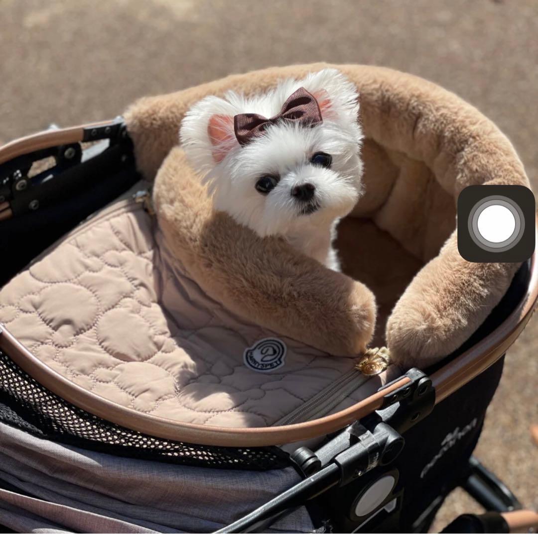 【L】ハリースペット　バシネット　DOME チェスナッツブラウン