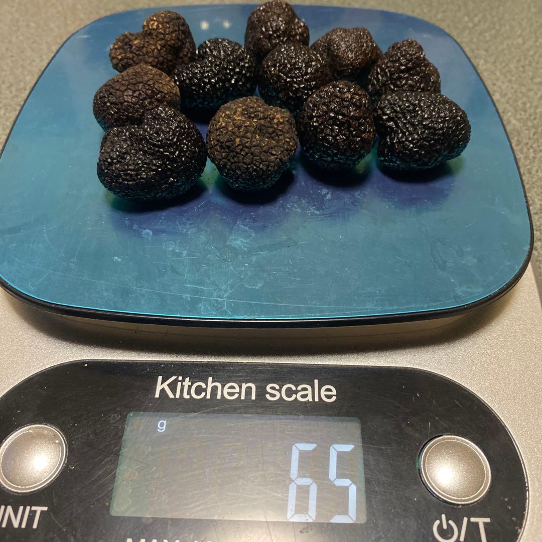 国産　山梨県産　天然黒トリュフ　大　約65g